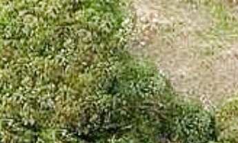 Imagem: TERRENO A VENDA EM JUNDIAÍ NO CONDOMÍNIO