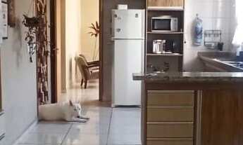 Imagem 4: Casa térrea de 3 quartos e 3 suítes no Jardim Colonia, Jundiaí-SP, com 220 m² e 3 vagas de