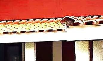 Imagem 2: CHACARA RESIDENCIAL em JUNDIAÍ - SP, CAXAMBU