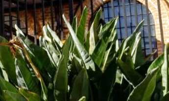 Imagem 3: Apartamento a venda localizado no Condomínio Espaço e Vida em Jundiaí SP, Andar Alto, Piso