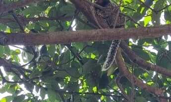 Imagem 7: TERRENO RESIDENCIAL em ITUPEVA - SP, PARQUE DOS CAFEZAIS II
