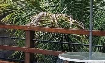 Imagem 6: CHACARA RESIDENCIAL em ITUPEVA - SP, JARDIM DO RIBEIRÃO II