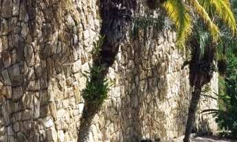 Imagem 3: CHACARA RESIDENCIAL em ITUPEVA - SP, CAFEZAL