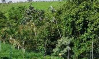 Imagem: EXCELENTE TERRENO À VENDA NO CONDOMÍNIO