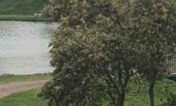 Imagem 4: TERRENO À VENDA COM 250 M² NO RESIDENCIL PHYTUS - JACARÉ - CABREÚVA/SP