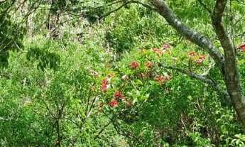 Imagem 6: TERRENO RESIDENCIAL em ITUPEVA - SP, PARQUE DOS CAFEZAIS II