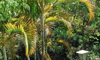 Imagem 7: TERRENO RESIDENCIAL em ITUPEVA - SP, PARQUE DOS CAFEZAIS II