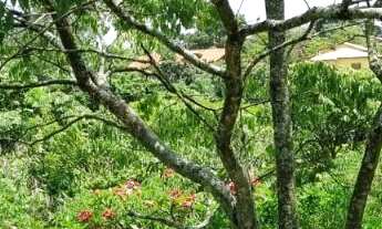 Imagem 2: TERRENO RESIDENCIAL em ITUPEVA - SP, PARQUE DOS CAFEZAIS II