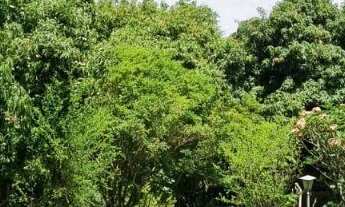 Imagem 4: TERRENO RESIDENCIAL em ITUPEVA - SP, PARQUE DOS CAFEZAIS II