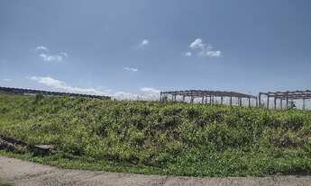 Imagem 3: Area Industrial em Louveira - SP, Leitão