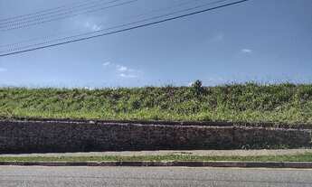 Imagem 7: Area Industrial em Louveira - SP, Leitão