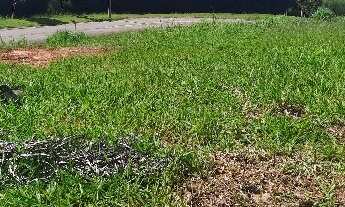 Imagem: Terreno Residencial em Vinhedo - SP, Minte