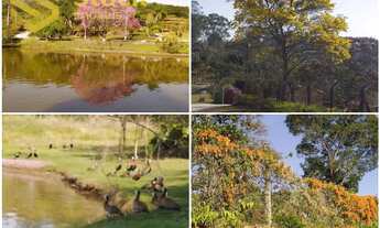 Imagem 7: CHÁCARA A VENDA NO CONDOMINIO FECHADO CHÁCARAS DE CAMPO VERDE EM CAMPO LIMPO PAULISTA/SP