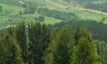 Imagem 3: TERRENO TOTALMENTE PLANO COM 1011 m² COM PROJETO APROVADO NA PREFEITURA NO CONDOMÍNIO TERR