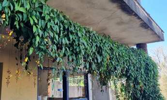 Imagem 4: CHACARA RESIDENCIAL em ITUPEVA - SP, CAFEZAL 1