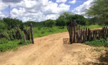 Imagem 2: FAZENDA para Venda Zona Rural, Floresta - PE A 6km do canal da transposição, com 7km beira
