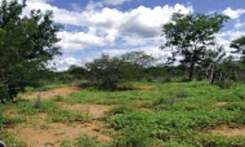 Imagem 3: FAZENDA para Venda Zona Rural, Floresta - PE A 6km do canal da transposição, com 7km beira