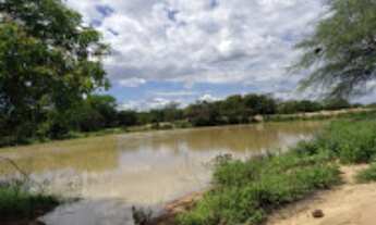 Imagem 4: FAZENDA para Venda Zona Rural, Floresta - PE A 6km do canal da transposição, com 7km beira