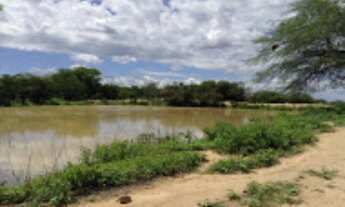 Imagem 5: FAZENDA para Venda Zona Rural, Floresta - PE A 6km do canal da transposição, com 7km beira