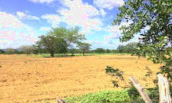Imagem 6: FAZENDA para Venda Zona Rural, Floresta - PE A 6km do canal da transposição, com 7km beira