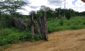 Imagem 7: FAZENDA para Venda Zona Rural, Floresta - PE A 6km do canal da transposição, com 7km beira
