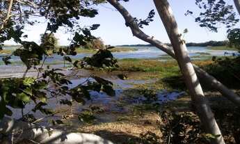 Imagem 2: 980M² de Área Total na Estrada Das Pedrinhas Pe