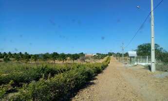 Imagem 4: 980M² de Área Total na Estrada Das Pedrinhas Pe