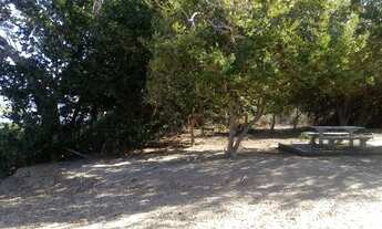 Imagem 3: 980M² de Área Total na Estrada Das Pedrinhas Pe