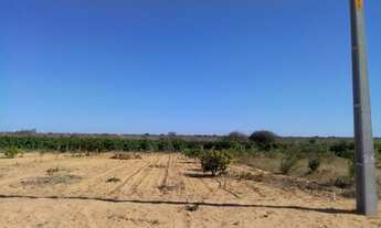 Imagem 6: 980M² de Área Total na Estrada Das Pedrinhas Pe