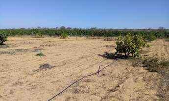 Imagem 7: 980M² de Área Total na Estrada Das Pedrinhas Pe