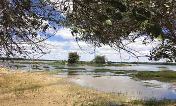 Imagem: 980M² de Área Total na Estrada Das Pedrinhas