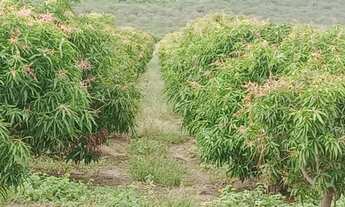 Imagem: A FAZENDA DOS SEUS SONHOS Localizada em