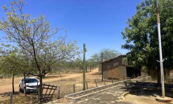 Imagem 5: Fazenda Modelo 3000 hectares localizada Lagoa Grande Pe BR 122 e Br 428