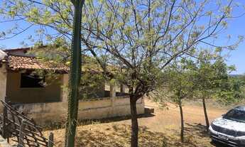 Imagem 6: Fazenda Modelo 3000 hectares localizada Lagoa Grande Pe BR 122 e Br 428