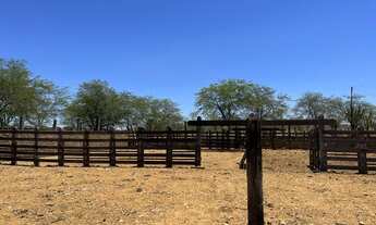 Imagem 2: Fazenda Modelo 3000 hectares localizada Lagoa Grande Pe BR 122 e Br 428