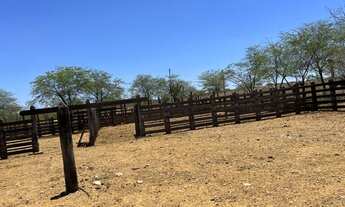 Imagem 3: Fazenda Modelo 3000 hectares localizada Lagoa Grande Pe BR 122 e Br 428