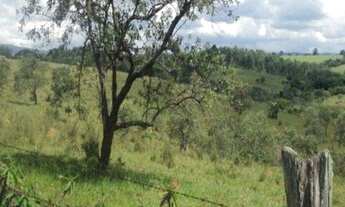 Imagem 2: Excelente área, 47.000m² planos