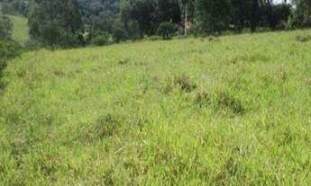 Imagem 3: Excelente área, 47.000m² planos