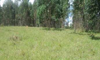 Imagem 1: Excelente área, 47.000m² planos