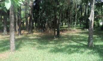 Imagem 5: Excelente área, 47.000m² planos