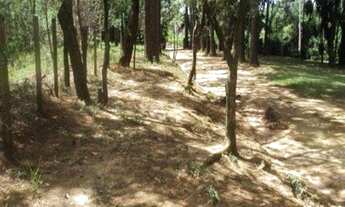 Imagem 4: Excelente área, 47.000m² planos