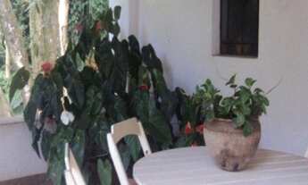 Imagem 6: Excelente área, 47.000m² planos