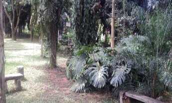 Imagem 7: Excelente área, 47.000m² planos