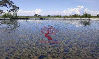 Imagem: Fazenda à Venda em GOIAS, Pecuária, Rio