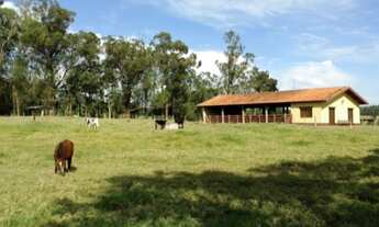 Imagem: LINDA FAZENDA NA CIDADE DE QUADRA (SP) COM