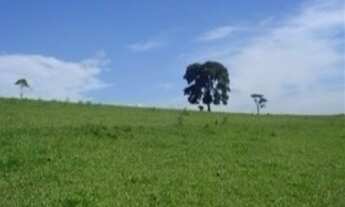 Imagem: EXCEPCIONAL FAZENDA EM ARAÇOIABA DA SERRA