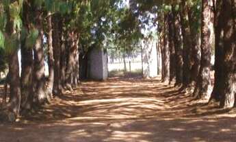 Imagem 3: SITIO RURAL em TATUI - SP, ESTANCIA REI SALOMÃO