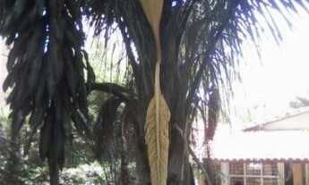 Imagem 4: Área no Jardim Faculdade em Sorocaba-SP, aceita até 60% do valor em imóveis, oportunidade