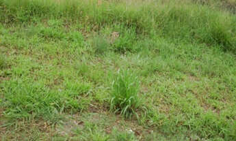 Imagem 5: AREA RESIDENCIAL em SOROCABA - SP, ÉDEN