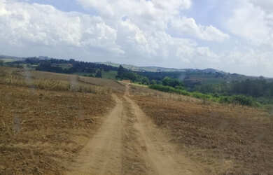 Imagem 7: Fazenda em Alambari-SP, fazenda no interior de São Paulo, há 20 minutos de Sorocaba, ideal